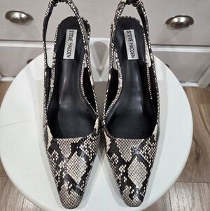 Steve Madden Black and Cream Snake Print Women's Shoes